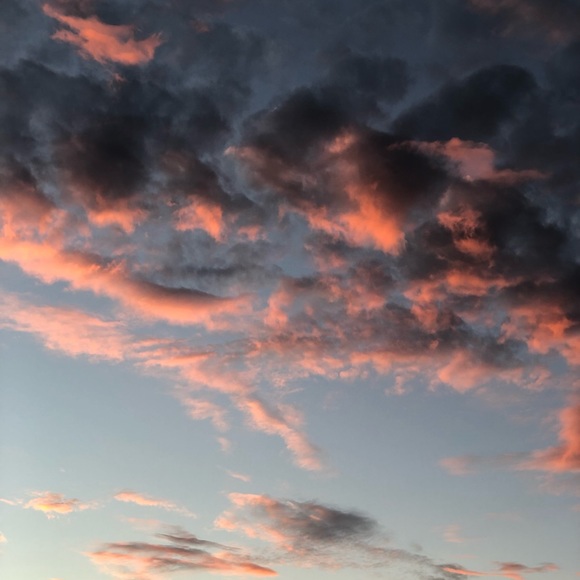 Meet your Posher, Betsy - Picture 3 of 5